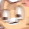 shitcat