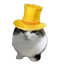 yellowawa
