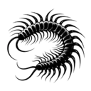 06_centipede