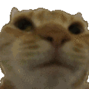 no