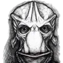 Thesquid