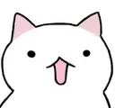 CatSurprise