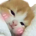 sleeping
