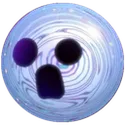 void