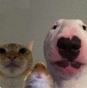 7587dogcathhamster Discord sticker - 𝘼𝙡𝙩𝙚𝙧 𝙀𝙜𝙤