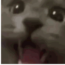 27022catwraaaa animated GIF emoji | 𝘼𝙡𝙩𝙚𝙧 𝙀𝙜𝙤