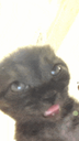 :15236yamii: