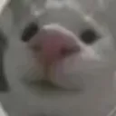 sinfulcreature sinfulcreature