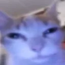 guh