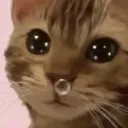 emoji_72