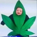 marijuana