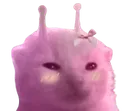 glorpCute