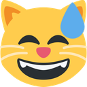 sweat_cat