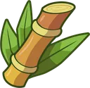 Sugarcane