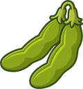 Soybean