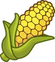 Corn