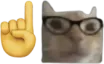 catnerd2x catnerd2x