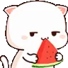 HehWatermelon