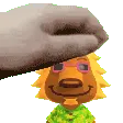 budpat