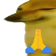 dorime