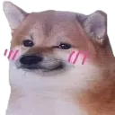 cheemsblush