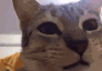aga