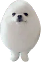 Fluffydoggo