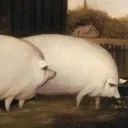 Brothers