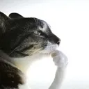 thismofothinking thismofothinking