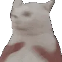 chunshake chunshake