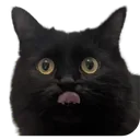 DumfoundedVoid