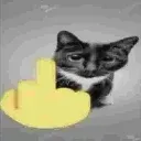 fuckyoy