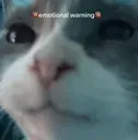 gulpy