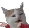 emoji_1737862199796