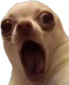 OOO