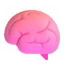 brain