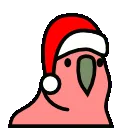 christmas_parrot
