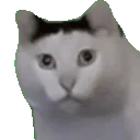 huh