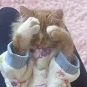 cattired