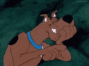 dog_scooby_rehehe