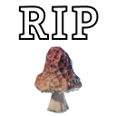 RIPShroom