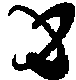 Black_anat