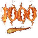 1000 1000