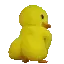 duckass