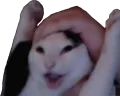 wahoo wahoo