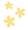 yellowflowerss