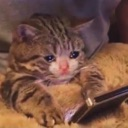 emoji_203 Discord emoji