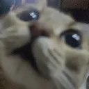 yuumiiyiiyiyiyyiyiyiyiiy_drogue