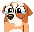 BingoSadTears