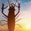 FreeShrimp